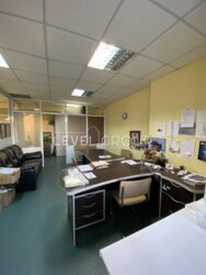 ������ ����� 99� �� �.�������� ���� 7