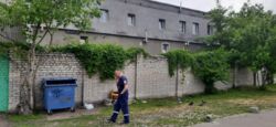 Продаж СТО, довжина фасаду 80м, ділянка 24сот, користування, Арт-завод Платформа фото 9 Продаж СТО, довжина фасаду 80м, ділянка 24сот, користування, Арт-завод Платформа фото 9