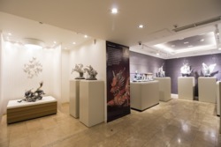 Продаж статусного фасадного приміщення з постійним орендарем, вул. В. Васильківська, Печерський центр фото 9 Продаж статусного фасадного приміщення з постійним орендарем, вул. В. Васильківська, Печерський центр фото 9