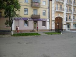 Продається об'єкт Полтавська, Полтава, Шевченківський (Жовтневий), Центр, Матвійчука Юліана (Пушкіна) вул. фото 2 Продається об'єкт Полтавська, Полтава, Шевченківський (Жовтневий), Центр, Матвійчука Юліана (Пушкіна) вул. фото 2