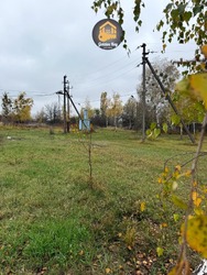 Діючий деревообробний цех, який приносить прибуток фото 13 Діючий деревообробний цех, який приносить прибуток фото 13