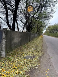 Діючий деревообробний цех, який приносить прибуток фото 7 Діючий деревообробний цех, який приносить прибуток фото 7