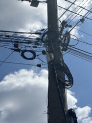 ��������� ��'��� ����� �������䳿, 85�, ³�����, ³�������, �������������, ������� ���� 2