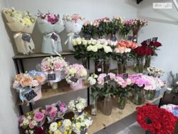 ��������� ��'��� ��������, 132, ³�����, ³�������, ����������, �������� ���� 6