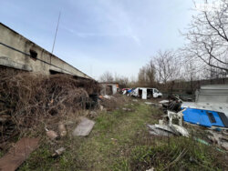 ��������� ��'��� ³�������, ³�����, �������������, ������, �������� ������, 29 ���� 12