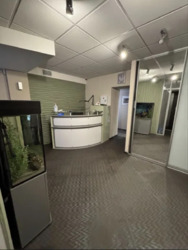 ��������� ��'��� ���������-���������, 6/8, ���, �����������, �. ����������� ���� 11