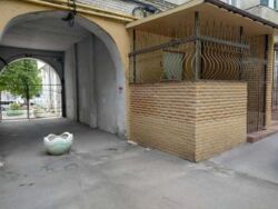 ��������� ��'��� ������, 3, ���, ����������, �. ���������� ���� 15