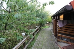 ������ ������������ ��������� ���� 9