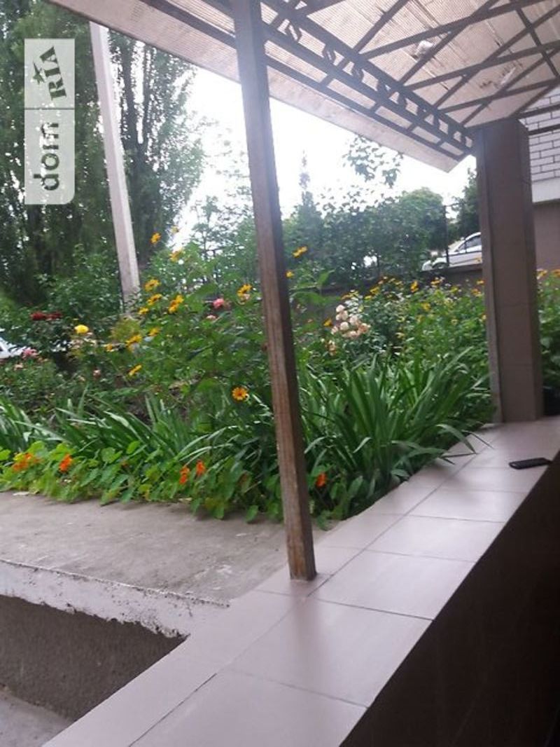 ��������� ������ ������������, �����������, �����������, ���-�������� ���� 11