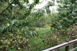 ������ ������������ ��������� ���� 7