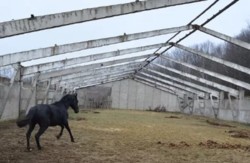 ��������� ������ ����, ������������, ����������� ���� 16