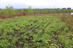 ������ ������������ ��������� ���� 34