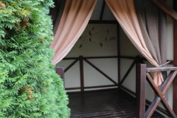 ������ ������������ ��������� ���� 18