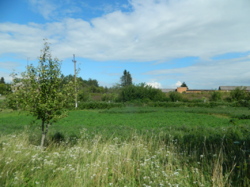 ������ ��������� ���� 50