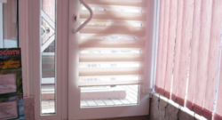 ��������� ������ �������, 55, �����������, �����������, ����� ���� 2