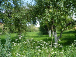 ������ ��������� ���� 67