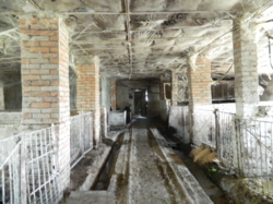 ������ ��������� ���� 46