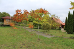 ������ ������������ ��������� ���� 21