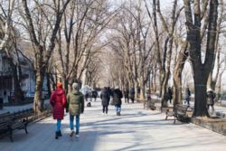 �������� ������� ������ ���� 1