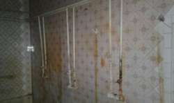 Продается объект Хмельницкий, Хмельницкая, Ружичная фото 8 Продается объект Хмельницкий, Хмельницкая, Ружичная фото 8