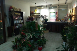 Продаж готового бізнесу фото 7 Продаж готового бізнесу фото 7