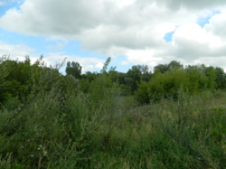 ������ ��������� ���� 34