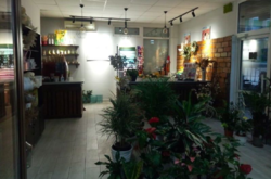 Продаж готового бізнесу фото 10 Продаж готового бізнесу фото 10