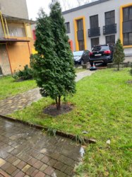 ��������� ������ ��������� ��., ������, ��������, ���������� ���� 10