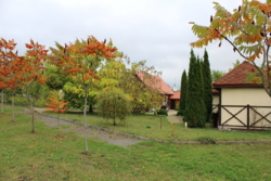 ������ ������������ ��������� ���� 20