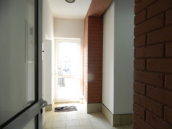 ��������� ������ ���������, �����������, �����������, ������ ���� 12