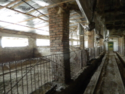 ������ ��������� ���� 48