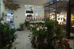 Продаж готового бізнесу фото 9 Продаж готового бізнесу фото 9