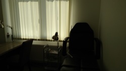 Салон красоты в ЖК Апельсин фото 8 Салон красоты в ЖК Апельсин фото 8