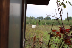 ������ ������������ ��������� ���� 46