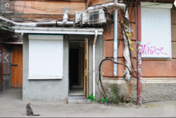 ФАСАДНОЕ помещение неж. фонд под кафе, магазин,cалон в ТОПовом месте фото 6 ФАСАДНОЕ помещение неж. фонд под кафе, магазин,cалон в ТОПовом месте фото 6