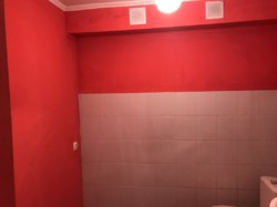 Продается объект Шаровечка, Хмельницкий, Хмельницкая фото 7 Продается объект Шаровечка, Хмельницкий, Хмельницкая фото 7