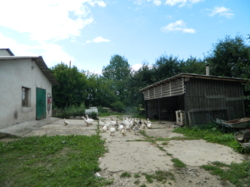 ������ ��������� ���� 39