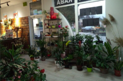 Продаж готового бізнесу фото 5 Продаж готового бізнесу фото 5