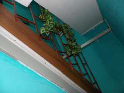 ��������� ������ ���������, �����������, �����������, ����� ���� 7