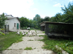 ������ ��������� ���� 37