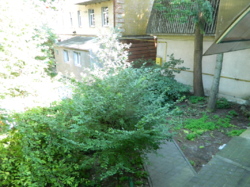 Продаж фото 84 Продаж фото 84