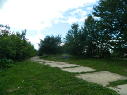 ������ ��������� ���� 32