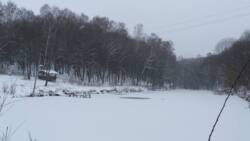 Продажа базы отдыха фото 12 Продажа базы отдыха фото 12