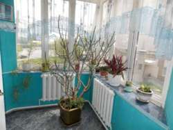 ��������� ������ ���������, �����������, �����������, ����� ���� 10