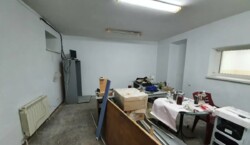 ��������� ������ ���������, �����������, �����������, ������� ���� 29