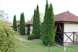 ������ ������������ ��������� ���� 19