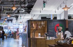 ��������� ������ �����������, �����������, ������ ���� 5