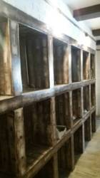 Продаж комерційного приміщення фото 21 Продаж комерційного приміщення фото 21