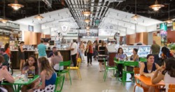 ��������� ������ �����������, �����������, ������ ���� 1