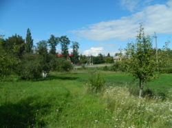 ������ ��������� ���� 49